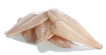 SOLE (GLOSSA) FILLET FROM HOLLAND